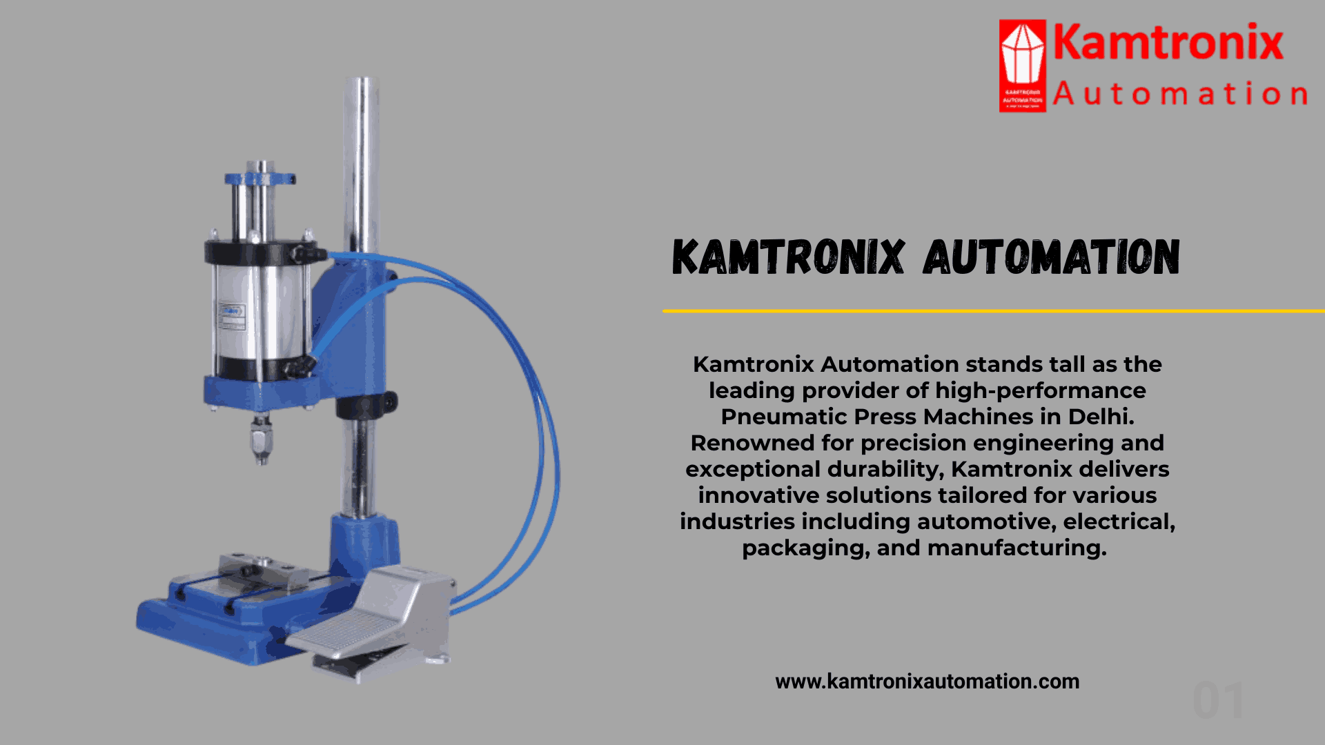Pneumatic Press Machine Provider in Delhi